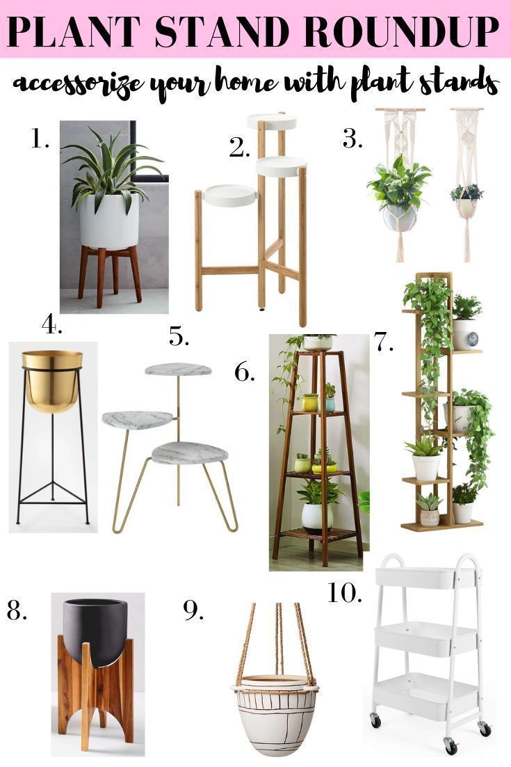 plant stand roundup with text overlay