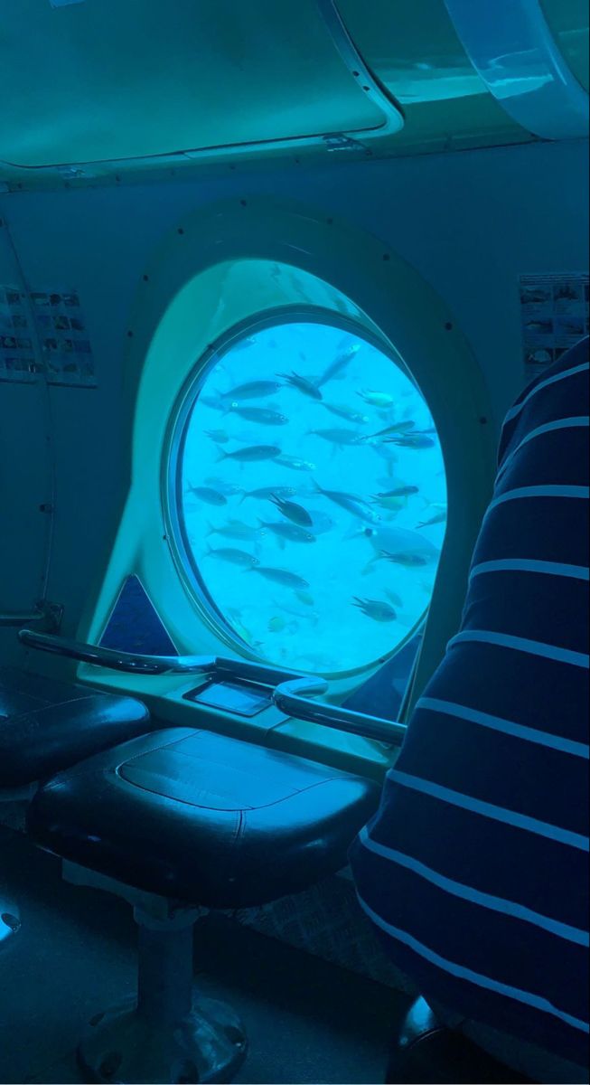 the inside of an airplane with fish swimming in it