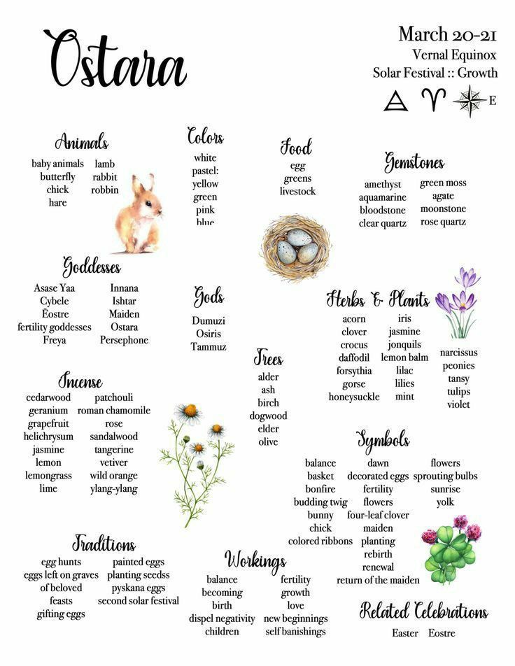 an animal's names and their meanings for the month of october, including flowers