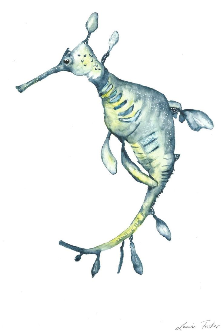 a watercolor drawing of a lizard with its legs spread out and it's mouth open