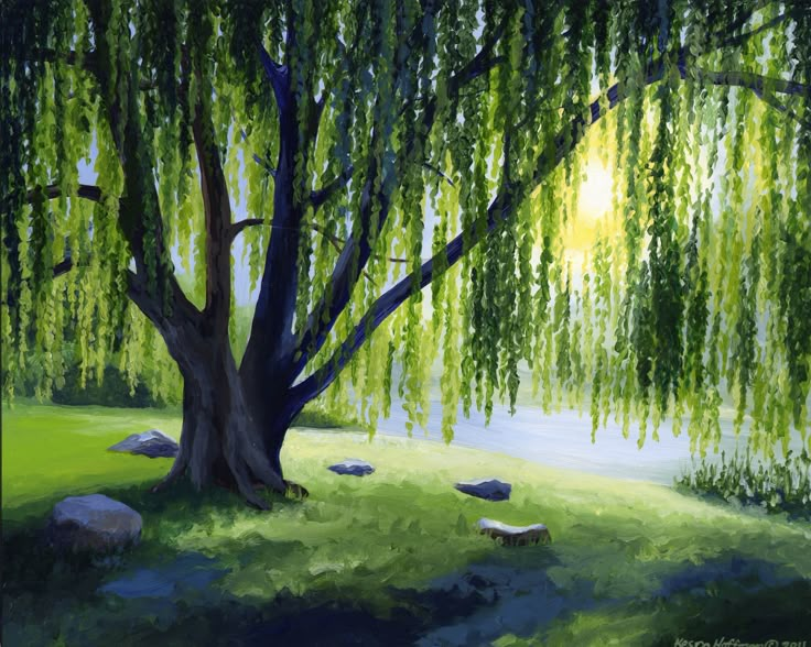 a painting of a tree and some rocks in the grass next to a body of water