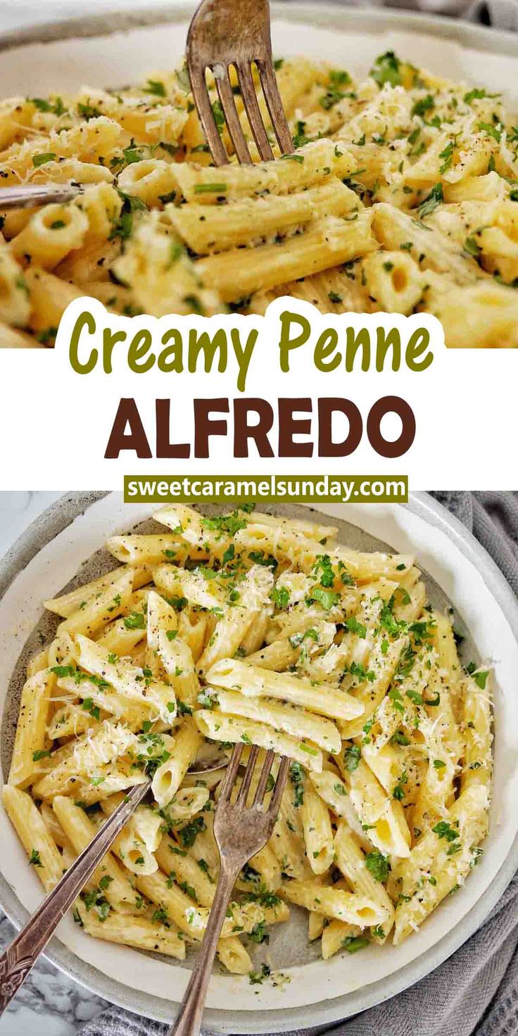 creamy penne alfredo in a white bowl with a fork