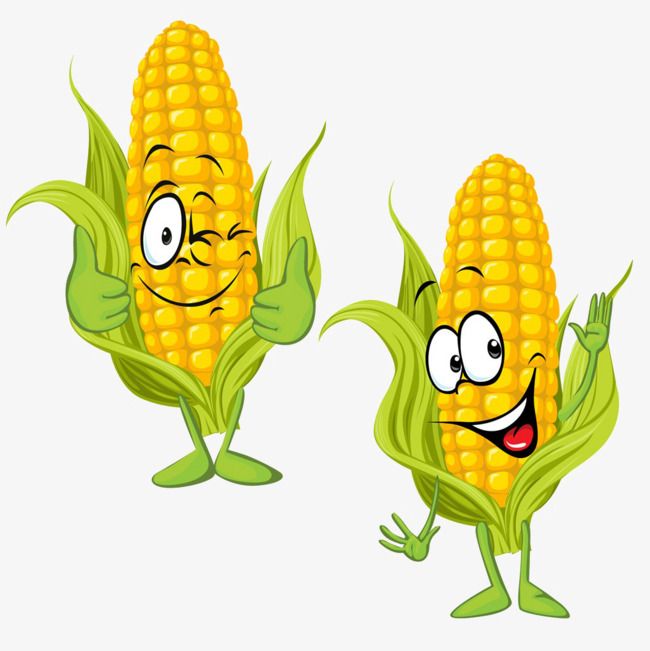 two cartoon corn on the cob with eyes and hands, one pointing to its ear