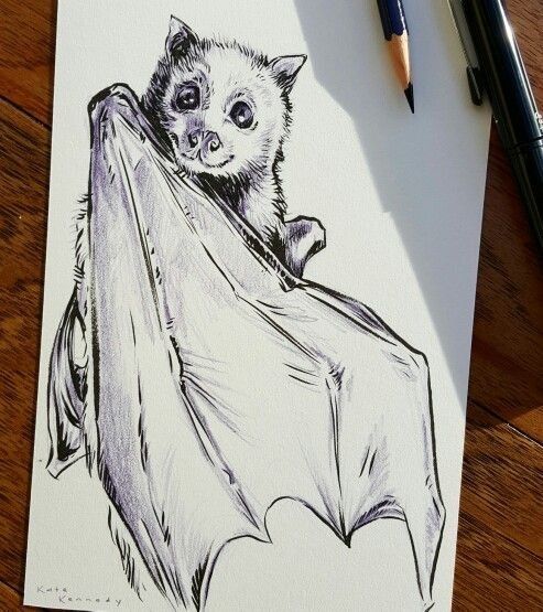 a pencil drawing of a bat hanging upside down on a piece of paper next to some pens