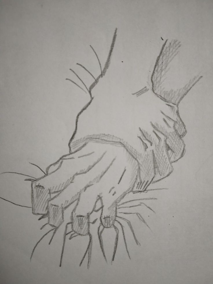 a pencil drawing of a hand reaching for something