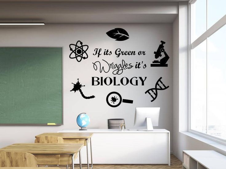 there is a science themed wall decal in the classroom with black and white graphics