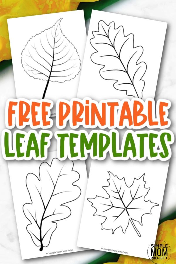 free printable leaf templates for kids to color and draw with the leaves on them