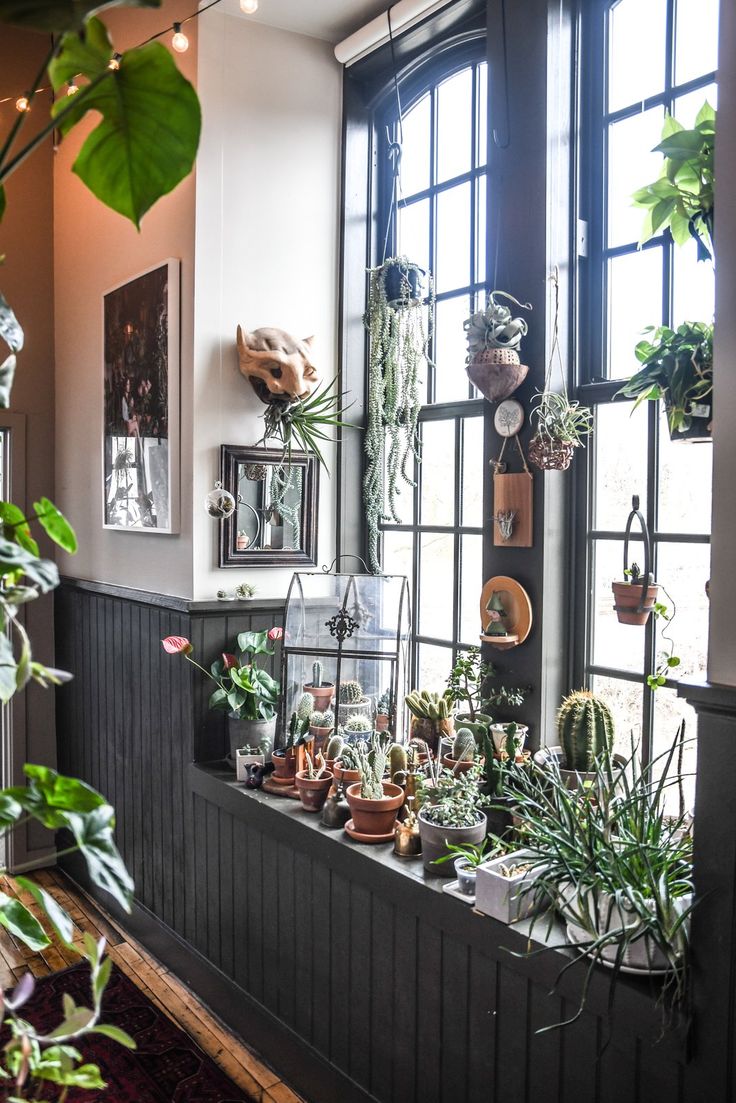 a room filled with lots of potted plants on top of windowsills next to large windows