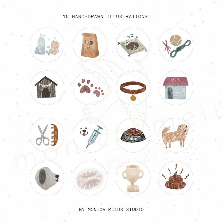 an illustrated guide to hand - drawn illustrations by monica meus studio, featuring dog and cat related items