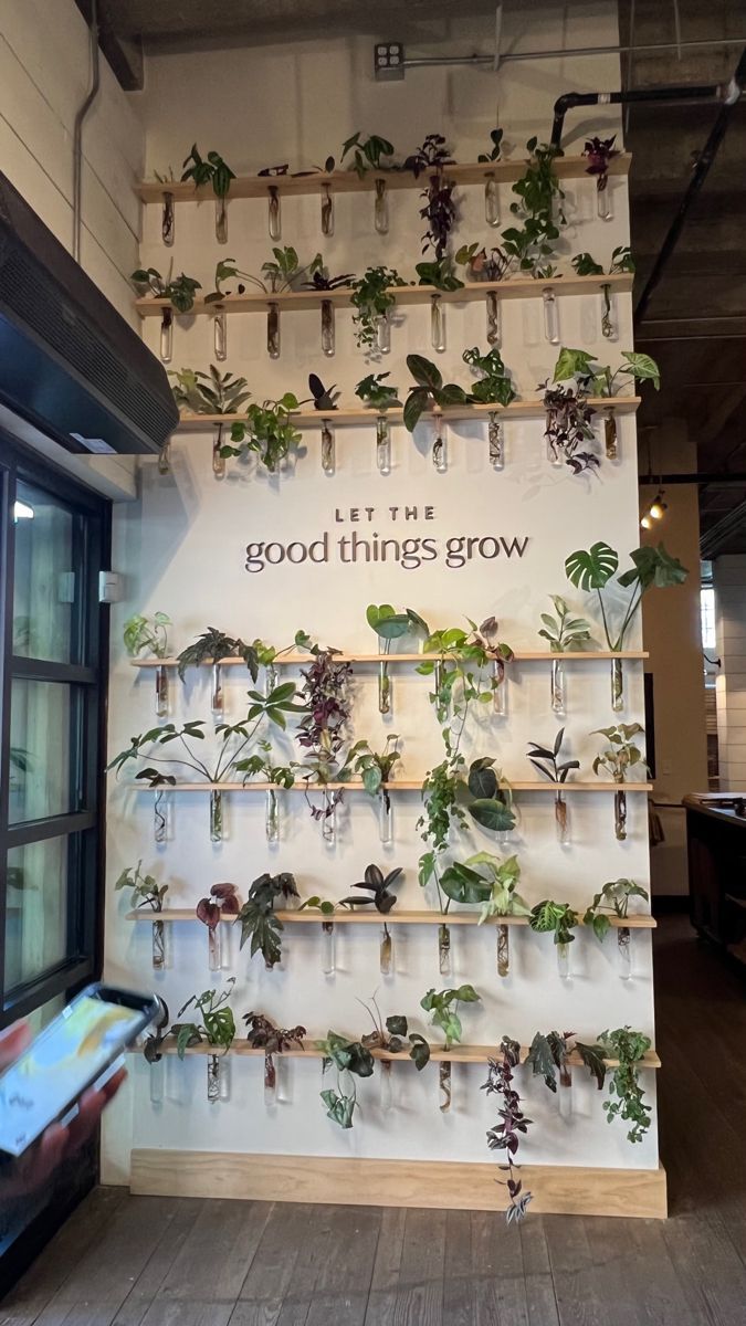 the wall is covered with plants and hanging from it's sides, which reads let the good things grow