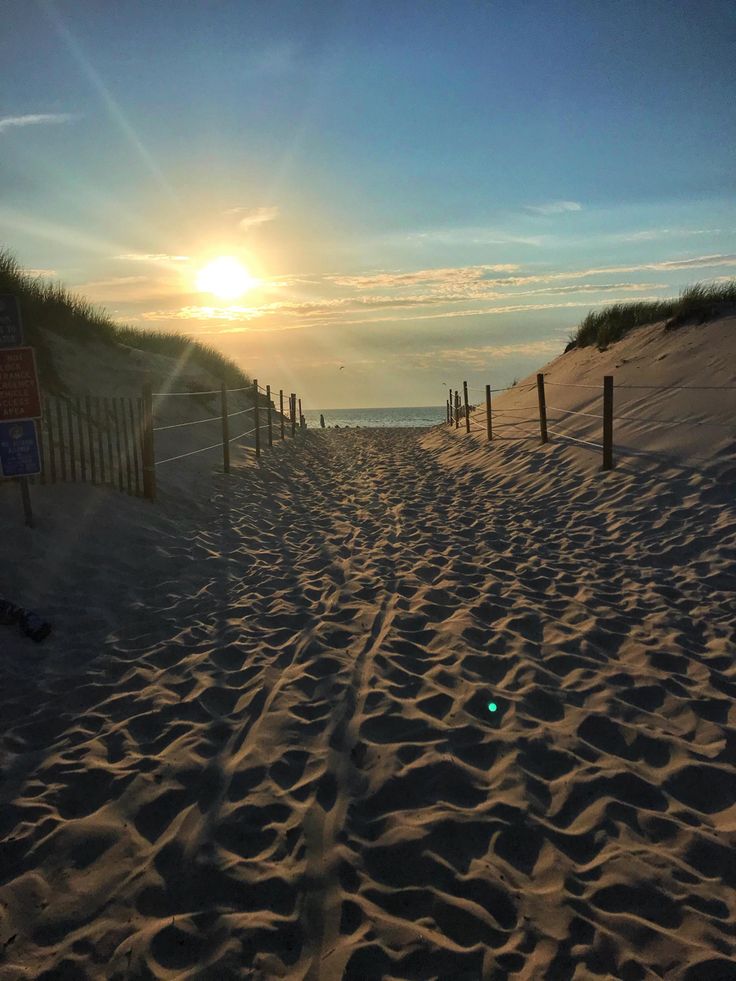 Sunset, background, mayflower, beach, cape cod, golden hour, beauty, beautiful, sun, sunrise, sand, ocean, Massachusetts Mayflower Beach Cape Cod, Cassie Core, Massachusetts Aesthetic, Cape Cod Aesthetic, Chatham Cape Cod, Cape Cod Beach, England Summer, Cape Cod Beaches, Lakeside Cabin