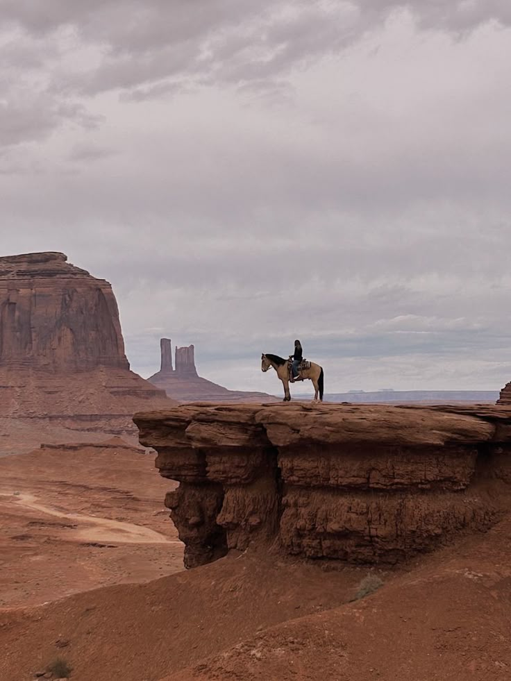 a lone horse is standing on the edge of a cliff in front of a desert landscape