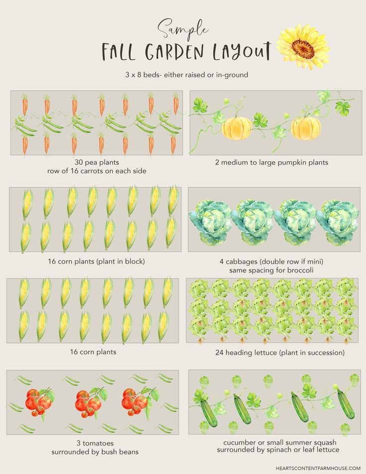 the instructions for how to make an easy garden layout with watercolor flowers and plants