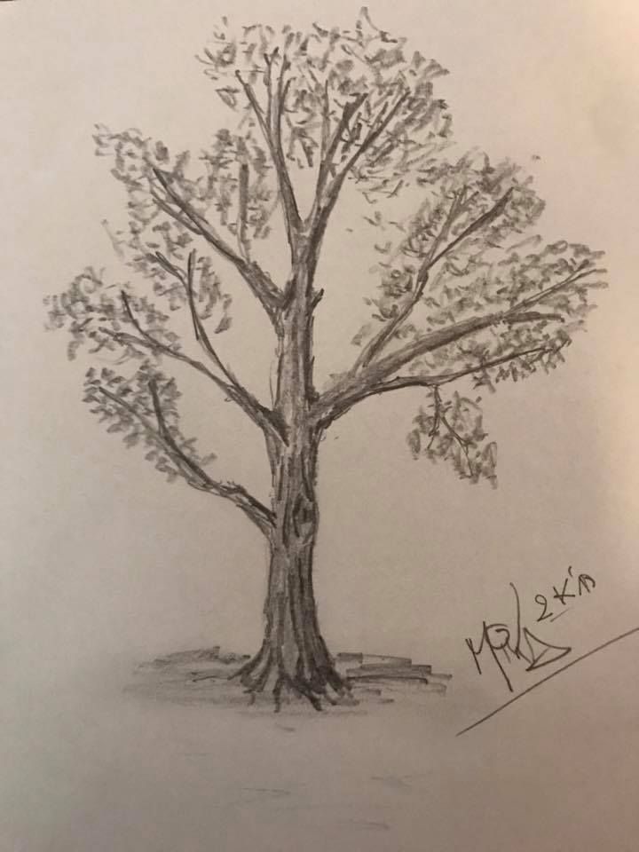 a drawing of a tree with leaves on it