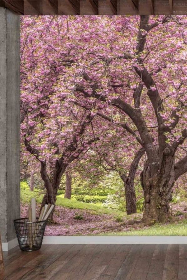 Cherry blossom mural with pink blossoms on trees in spring on the wall of an office. Cherry Blossom Tree Wallpaper, Cherry Blossom Mural, Blossom Tree Wallpaper, Blossom Mural, Flower Mural, Wallpaper Uk, Floor Wallpaper, Blooming Trees, Nursery Office