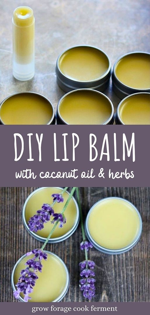 Create your own DIY Lip Balm with Coconut Oil with our DIY body care recipe. This vanilla lavender lip balm is a perfect blend of natural ingredients, offering a soothing and aromatic lip care solution. A rewarding project for those who appreciate handmade beauty products. Find more DIY beauty recipes and herbal remedies at growforagecookferment.com. Lip Balm Diy, Lavender Lip Balm, Homemade Balm, Body Care Recipes, Vanilla Lavender, Herbal Remedies Recipes, Cold Process Soap Recipes, Body Butters Recipe, Lip Balm Recipes