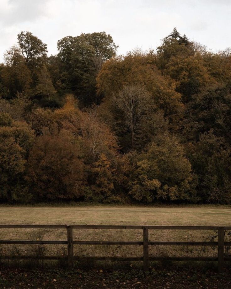 a field with trees in the background and a wooden fence on one side that runs across it