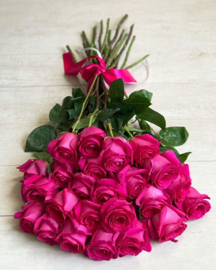 a bunch of pink roses laying on the floor