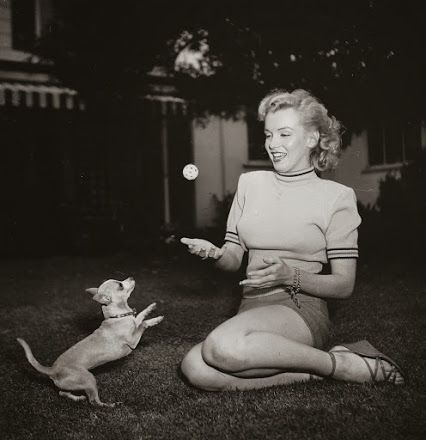 a black and white photo of a woman sitting on the grass playing with a dog