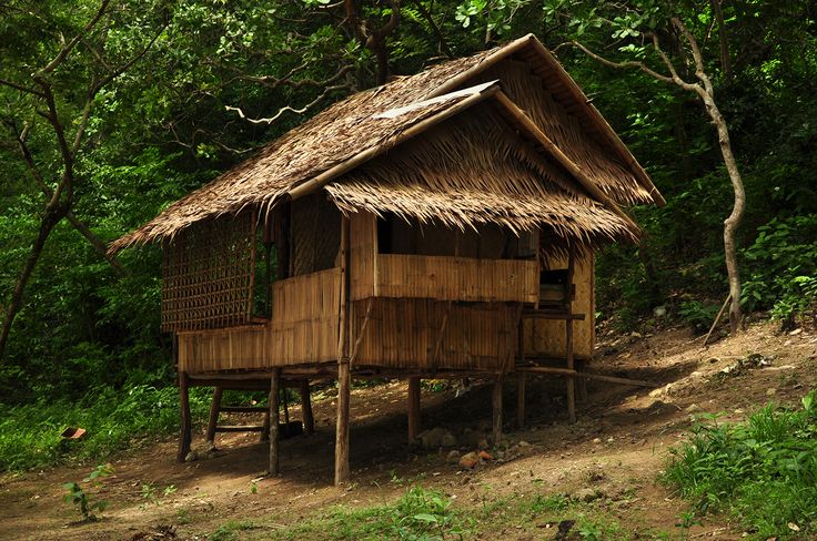 a small hut in the middle of some trees