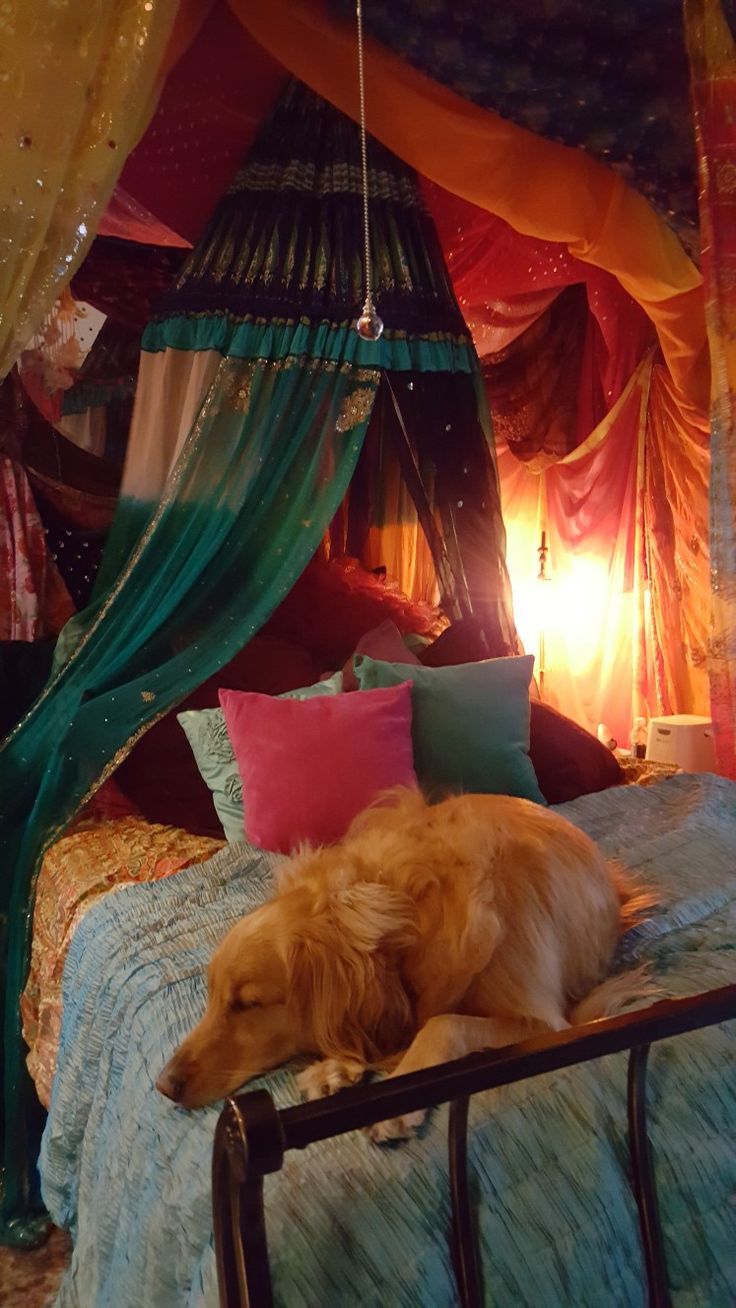 a dog laying on top of a bed in a room with lots of curtains and lights