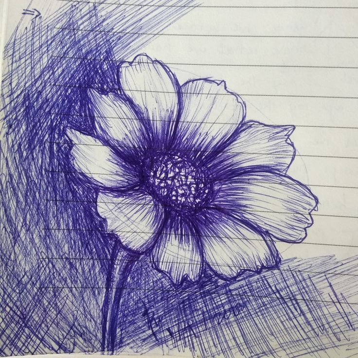 a drawing of a purple flower on lined paper with lines in the backround