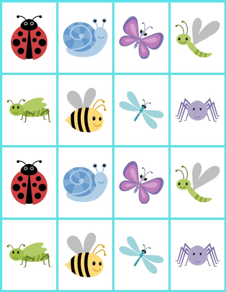 an insect and bug matching game for kids