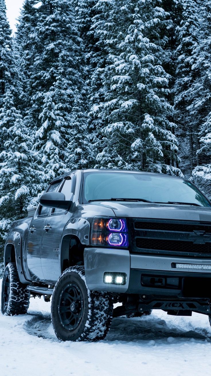 a truck is parked in the snow near some trees and pine trees, with its lights on