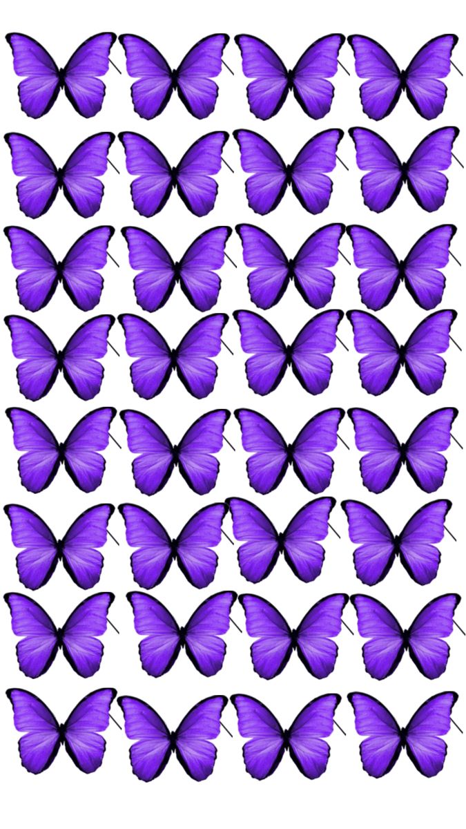 purple butterflies are arranged in rows on a white background