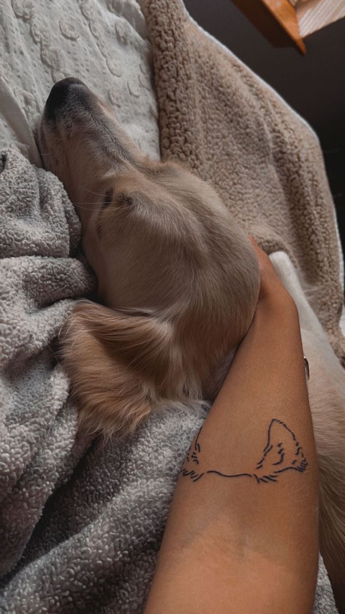 a small dog laying on top of a person's leg next to a blanket