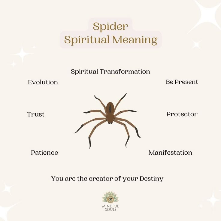 Spider Spiritual Meaning, Spirit Animal Meaning, Animal Meanings, Spirit Signs, Spirit Animal Totem, Spiritual Animal, Spiritual Psychology, Animal Spirit Guides, Animal Symbolism