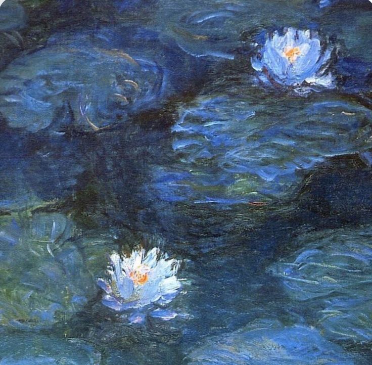 two blue water lilies floating on top of a pond