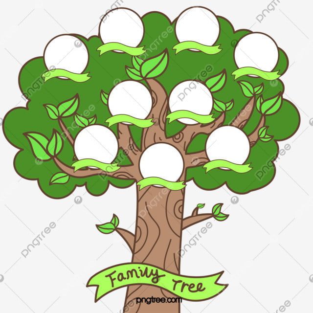 a family tree with four frames on the top and two green leaves in the bottom