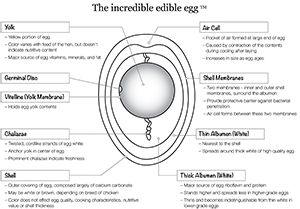 an info sheet describing the inside of a toilet