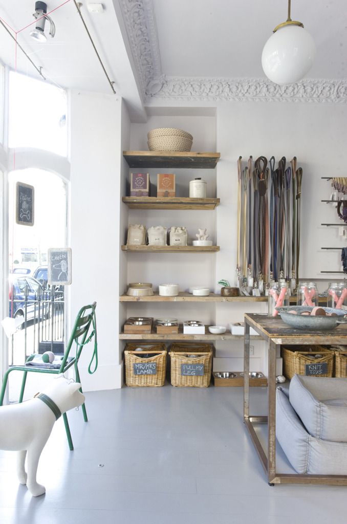 a room filled with lots of furniture and shelves next to a white dog standing in front of it