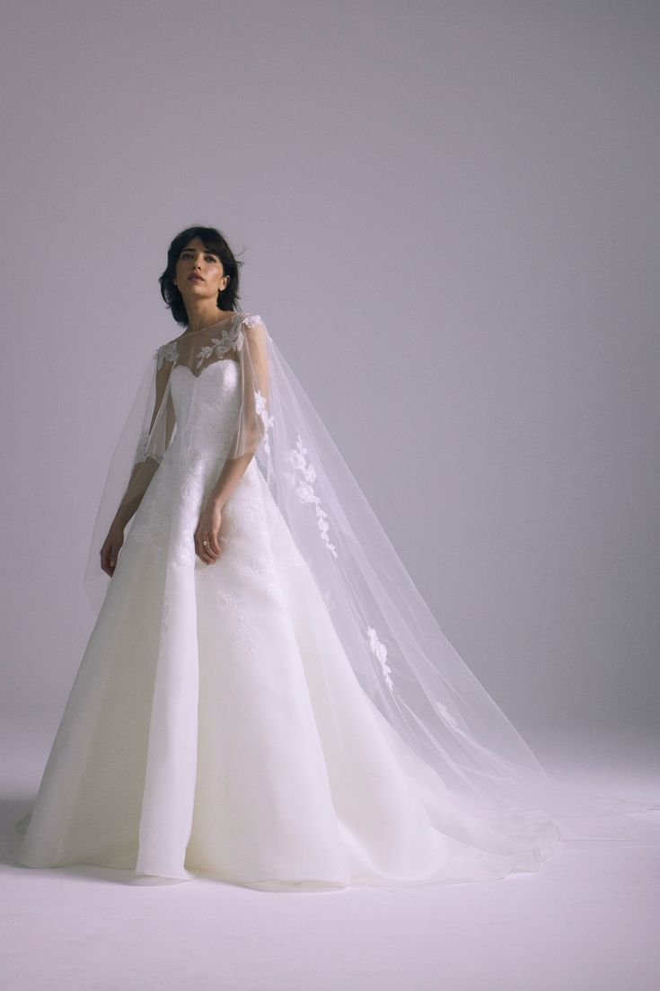 a woman in a wedding dress with a veil on her head