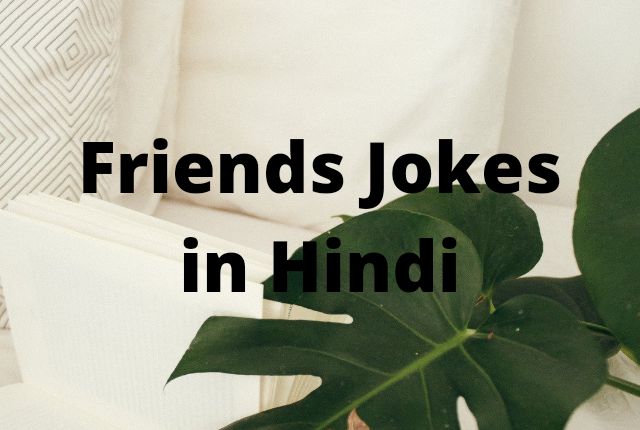 a plant sitting on top of a white couch with the words friends jokes in hindi