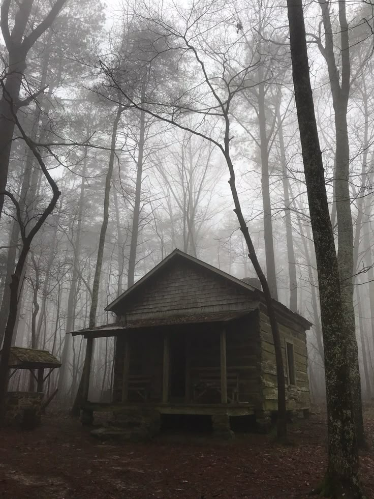 an old log cabin in the woods on a foggy day