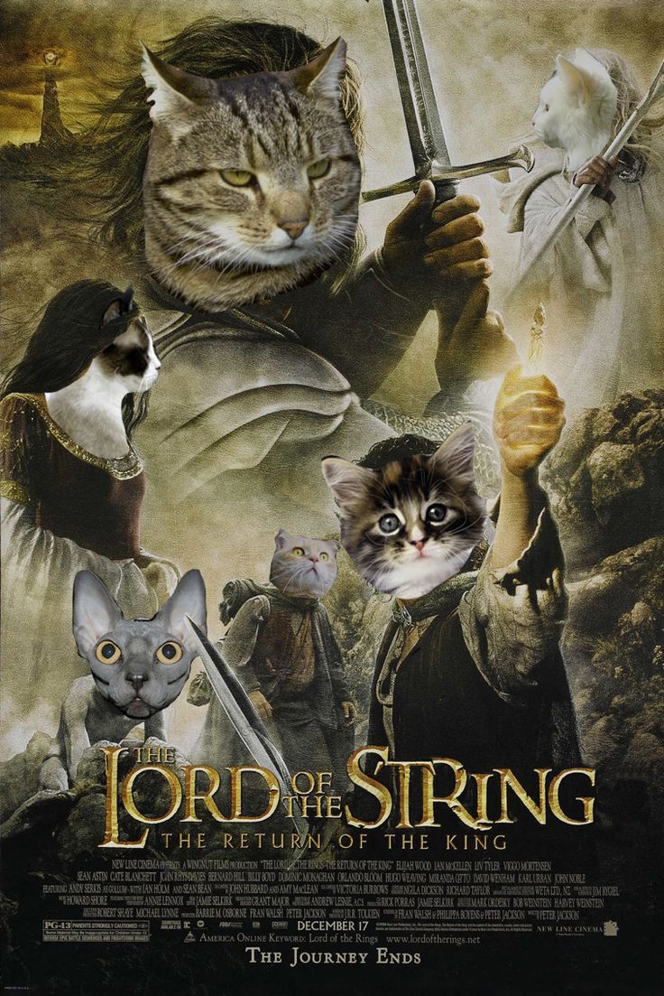 the lord of the strings movie poster with cats and mice on it's back