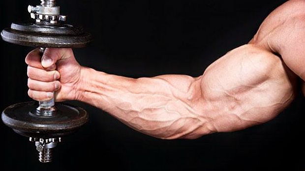 a bodybuilde with his arm holding a dumbbell