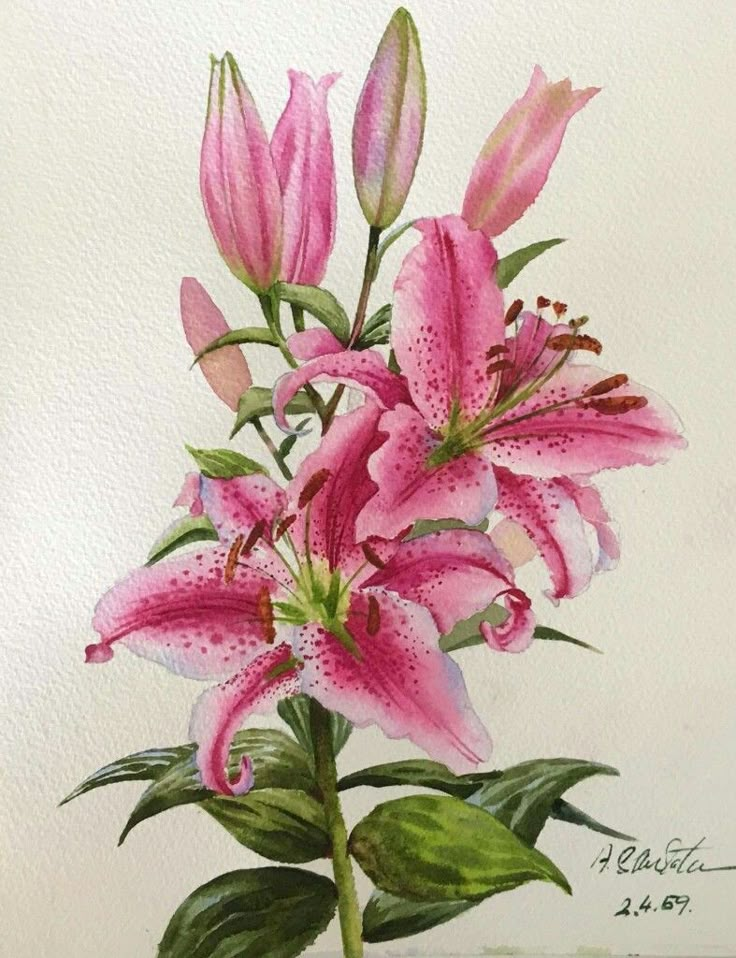 a painting of pink lilies in a vase on a white background with green leaves