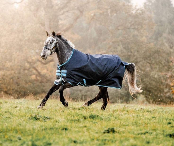 Horseware Ireland Amigo Bravo 12 Original Lite Turnout 100g Horseware Ireland, Horse Rug, Turnout Rug, Horse Products, Horse Rugs, French Guiana, Bleu Turquoise, Horse Care, Jodhpur