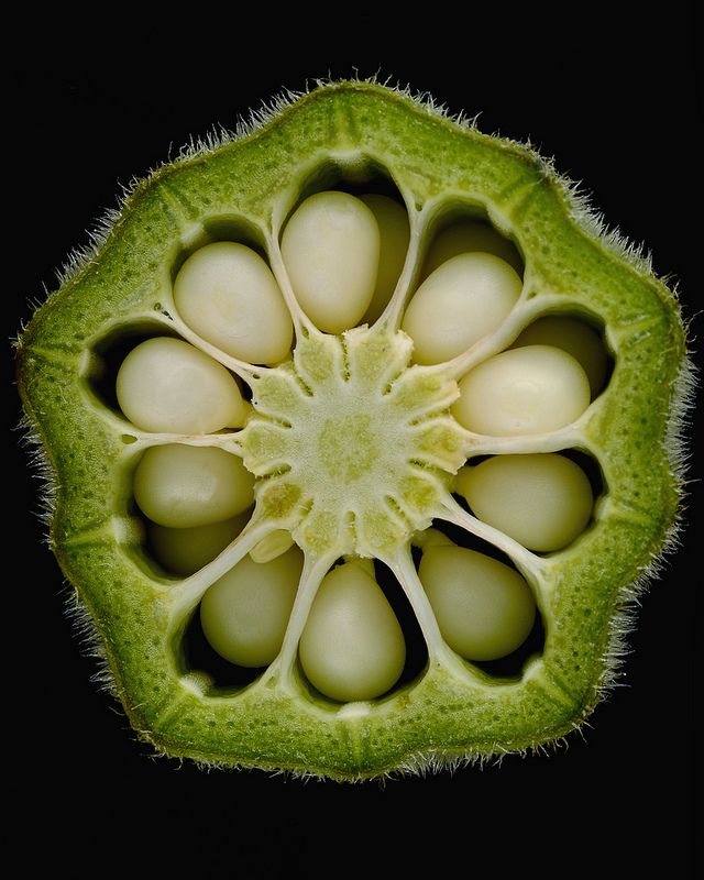 the inside of a green plant with several eggs in it's center and two petals