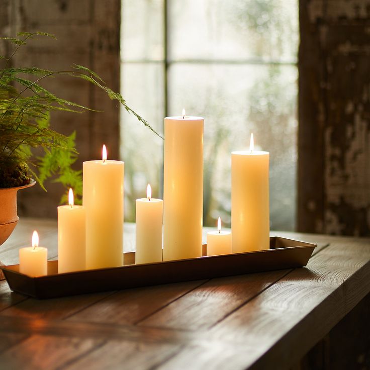 lit candles sit on a tray next to a potted plant