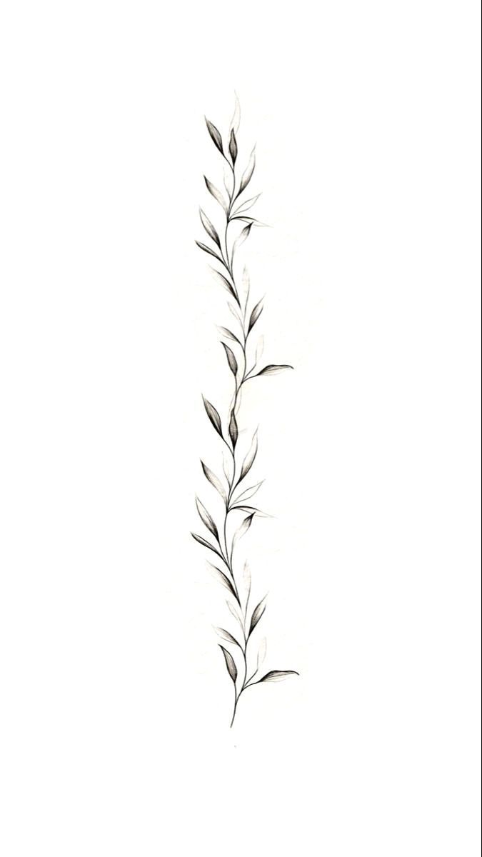 a black and white drawing of a plant