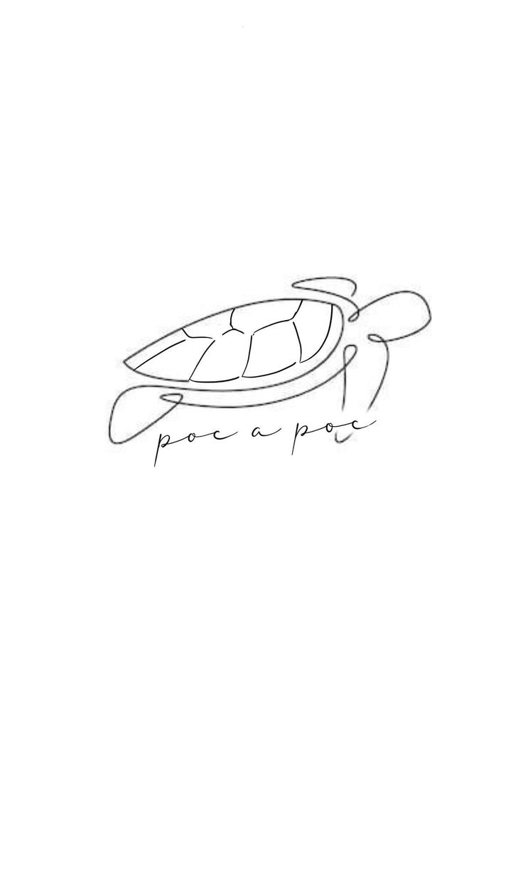 a drawing of a turtle with the words para poa on it