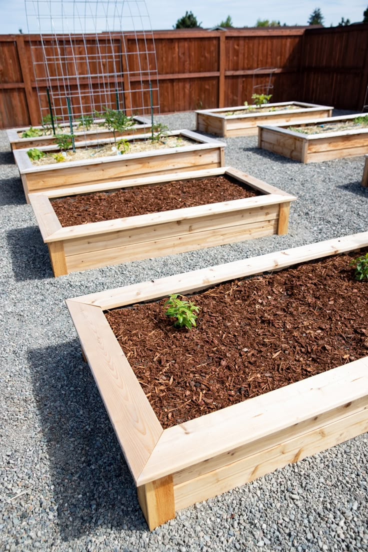 several wooden raised garden beds with plants growing in them