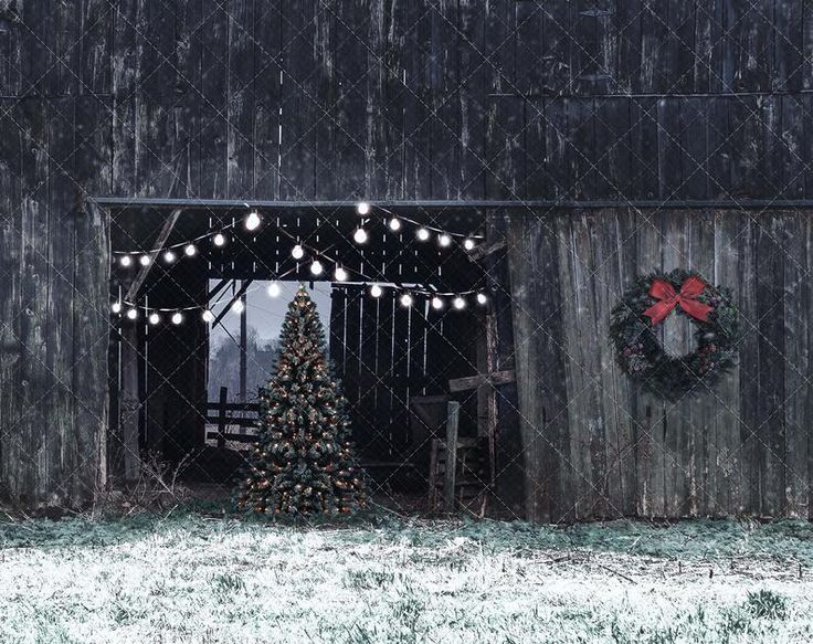 a christmas tree sitting in front of a barn