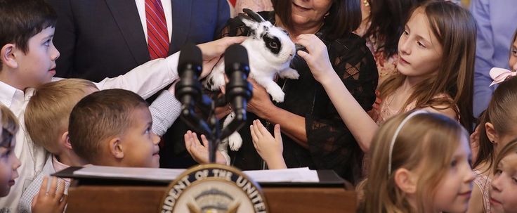 a group of children and adults standing in front of a podium with a cat on it