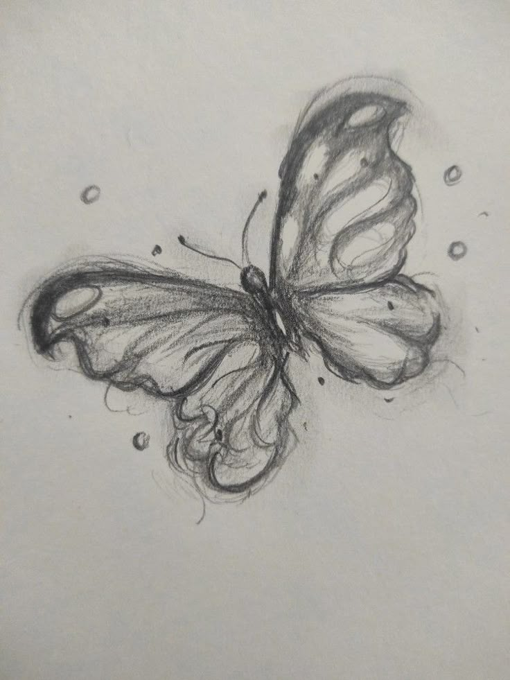 a pencil drawing of a butterfly flying in the air with drops of water on its wings